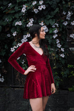 Velvet dress