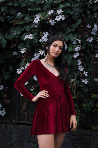 Velvet dress